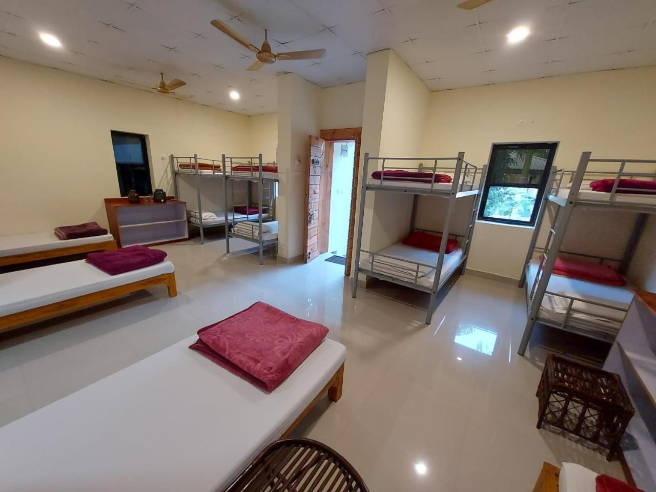 Tadoba Tiger Valley Resort Tadoba Mohurli Екстериор снимка